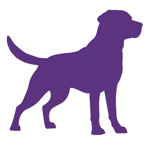 CHIEN