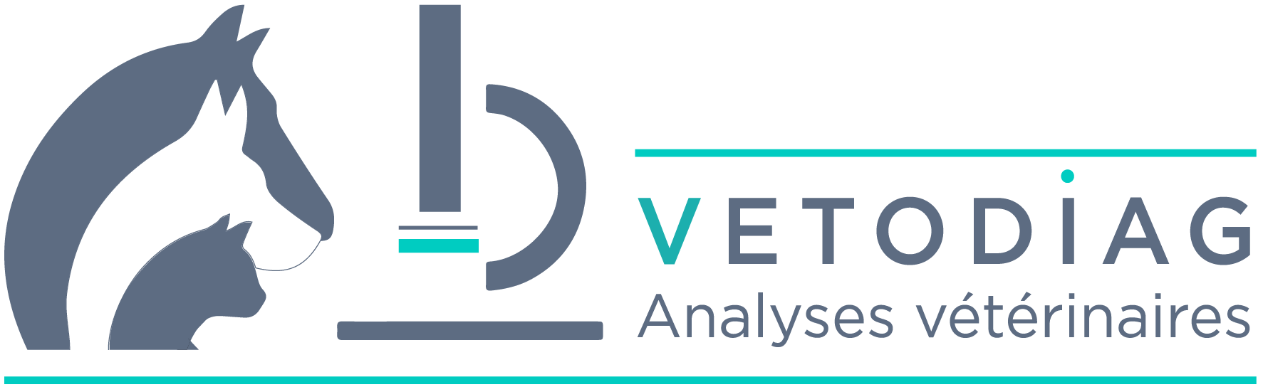 logo-Vétodiag